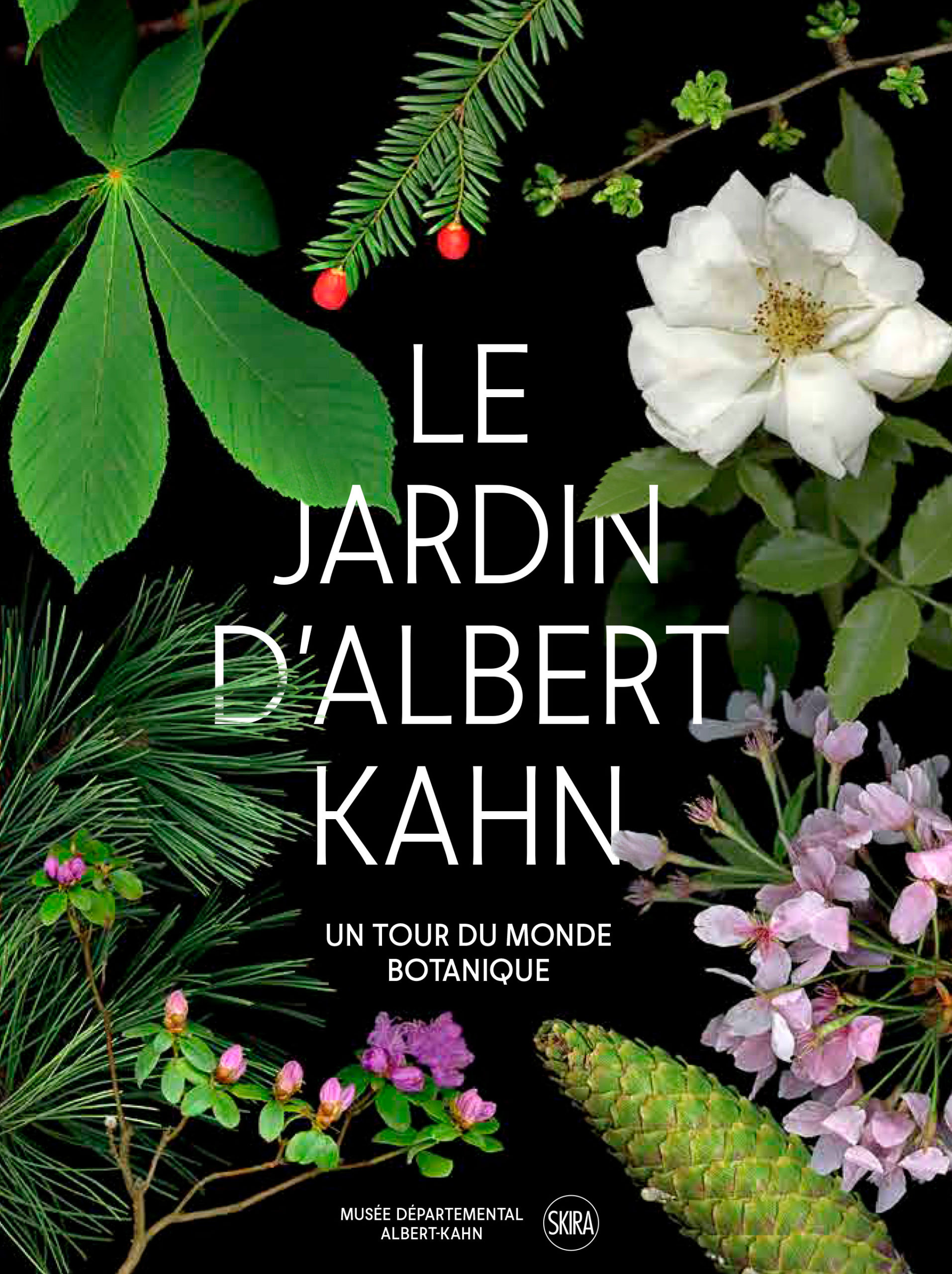 Le jardin d’Albert Kahn, un tour du monde botanique à découvrir absolument !