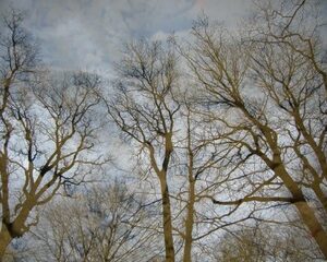 du 01/11 au 30/11/2025 - Trois petits vers...dans l'air