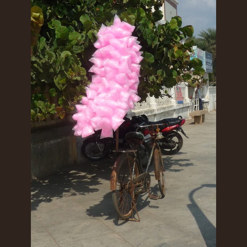 du 07/01 au 31/01/2026 - LYON-DELHI-CALCUTTA NAMASTE ! BIENVENUE EN INDE ! - Image 2